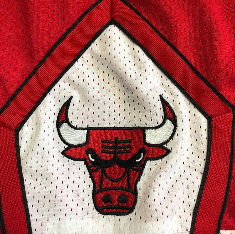 Chicago Bulls Shorts