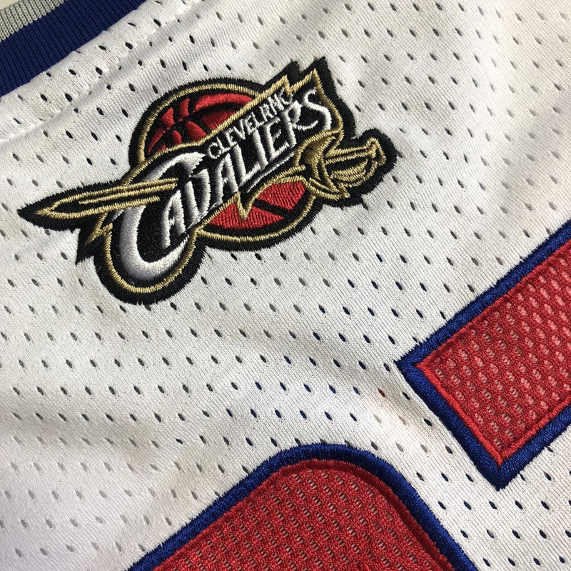 Men’s 2006 All Star East #23 James Jersey