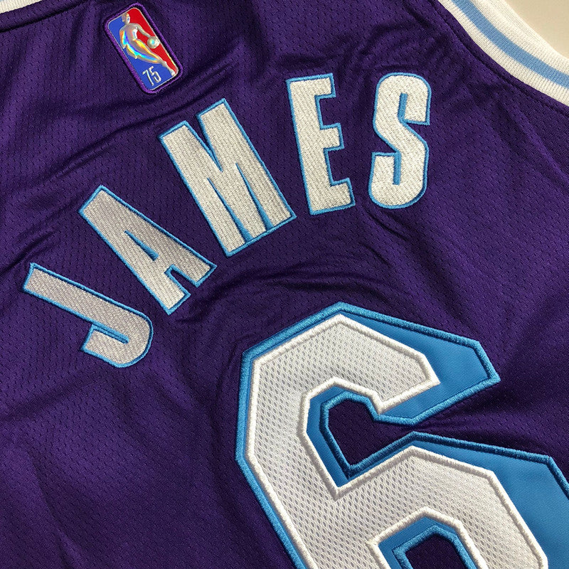 Men’s Los Angeles Lakers 75th anniversary #6 James Jersey
