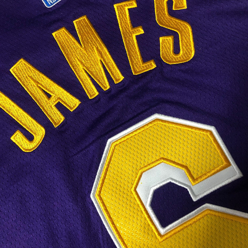 Men’s Los Angeles Lakers #6 Lebron James Jersey Purple