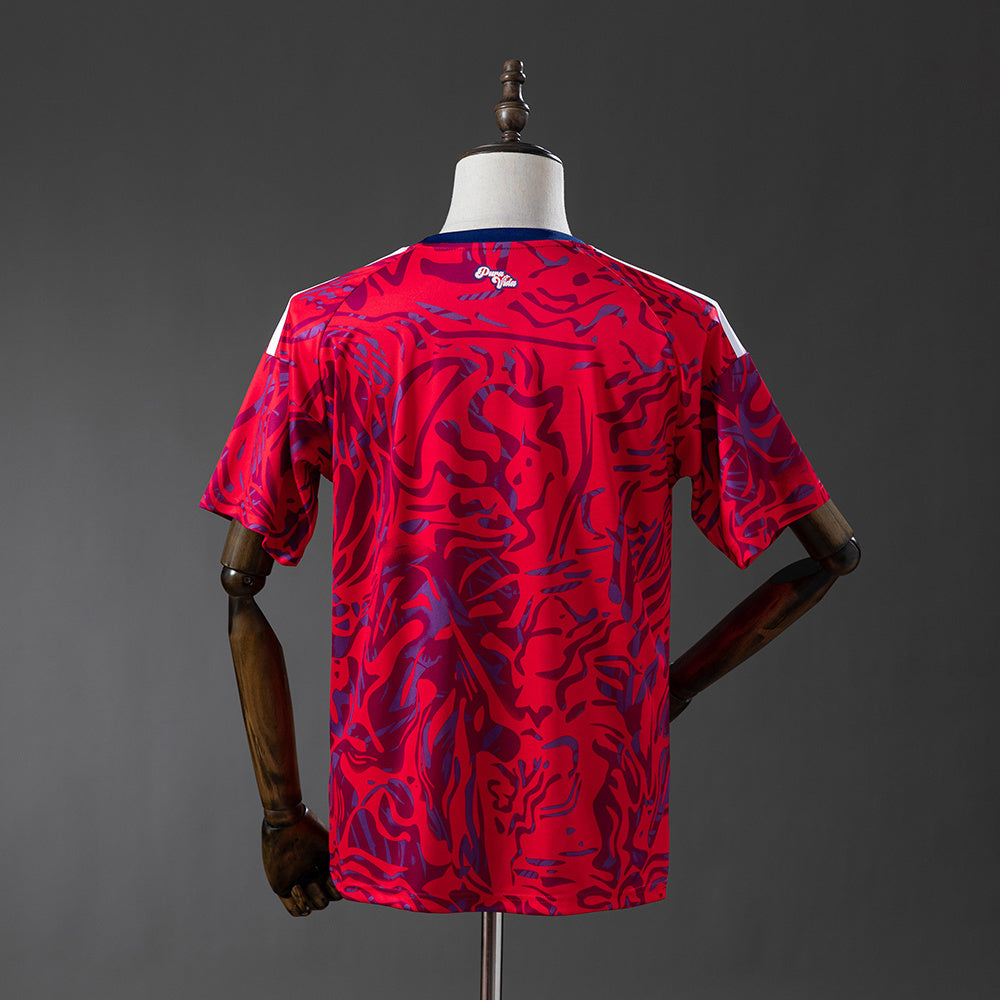 Men’s Costa Rica 2026 Home Fan Version Jersey S-4XL
