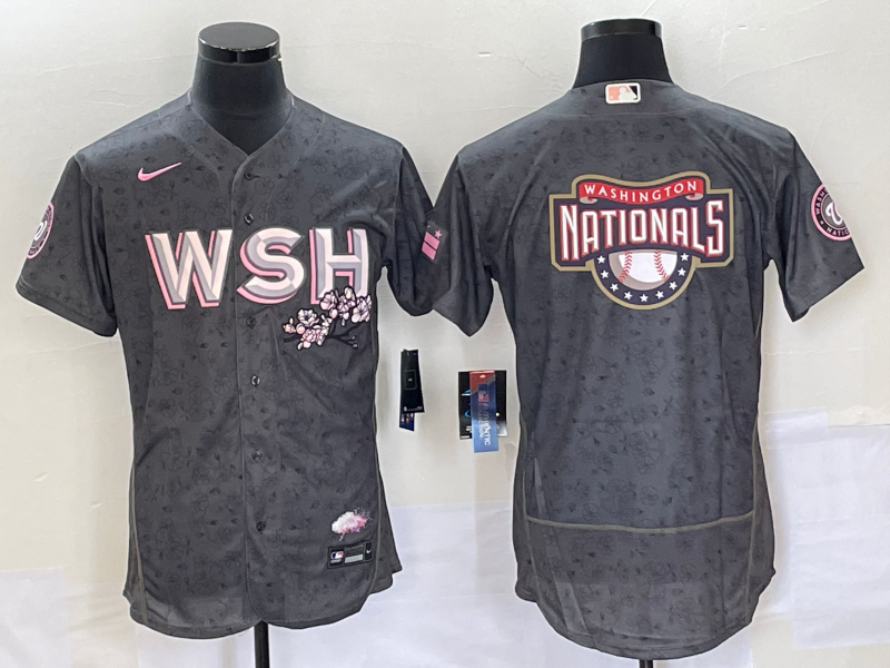 Men’s Washington Nationals Gray City Connect Team Jersey